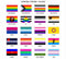 What Do the Different LGBTQ Flags Mean? A Comprehensive Guide