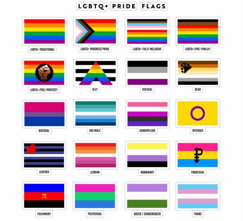 What Do the Different LGBTQ Flags Mean? A Comprehensive Guide