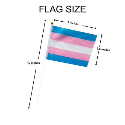 Small Transgender Flags on a Stick