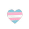 Bulk Transgender Heart Shaped Pins, LGBTQ Gay Pride Awareness