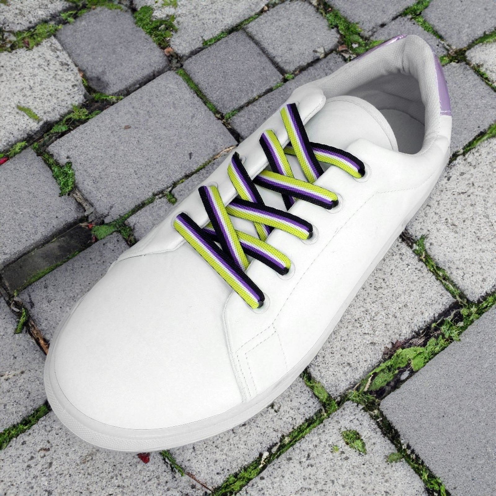 Nonbinary Flag Striped Shoe Laces