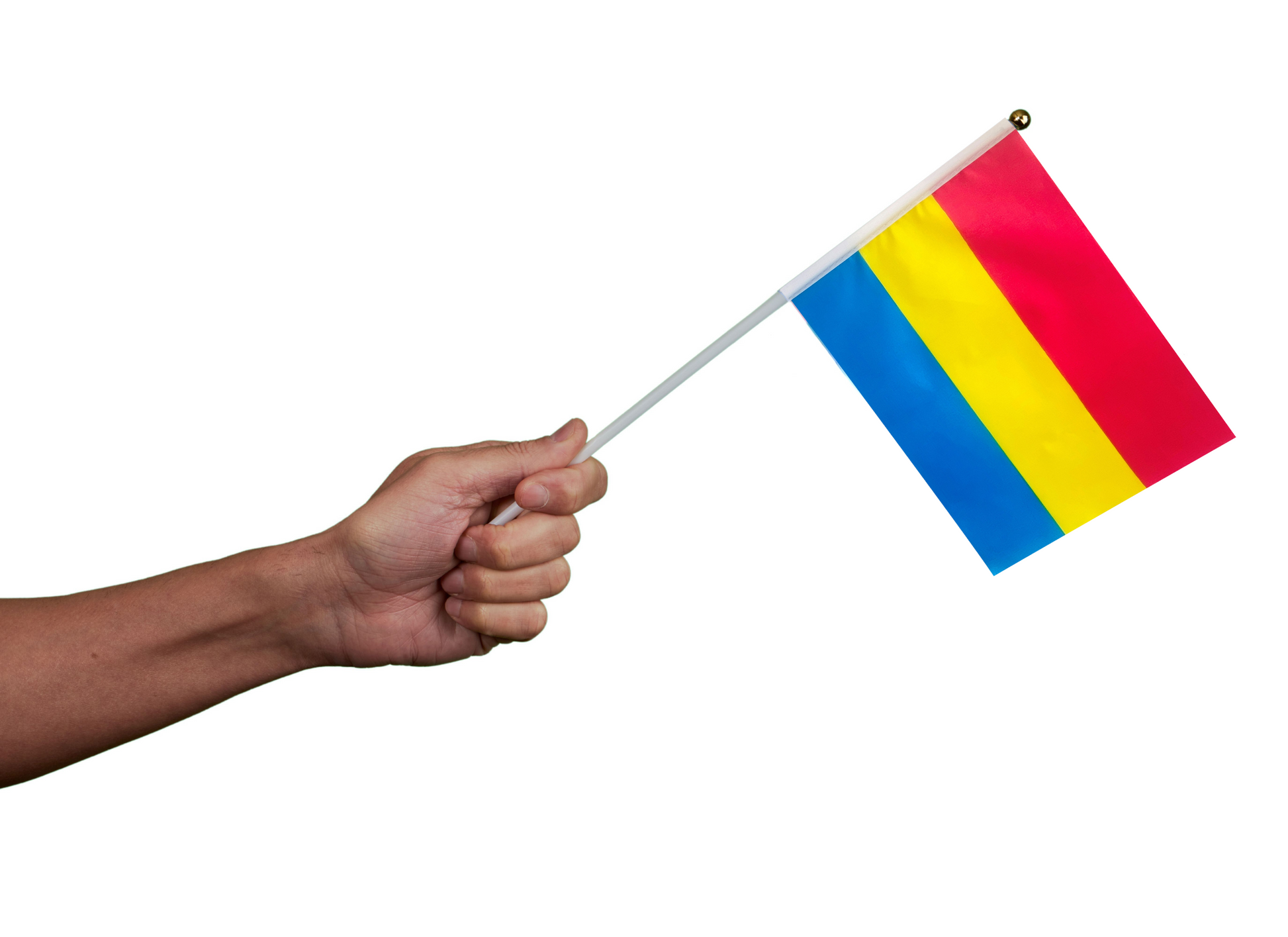 Small Pansexual Flags on a Stick