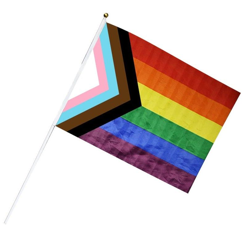 Bulk Daniel Quasar Large Parade Flags on a Stick - Celebrate Diversity & Unleash Your Pride