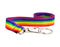 Vibrant Rainbow Flag Lanyards - High-Quality, Low-Cost Bulk Packs