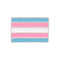 Bulk Pack Transgender Flag Pins - Affordable LGBTQ Pride Accessories