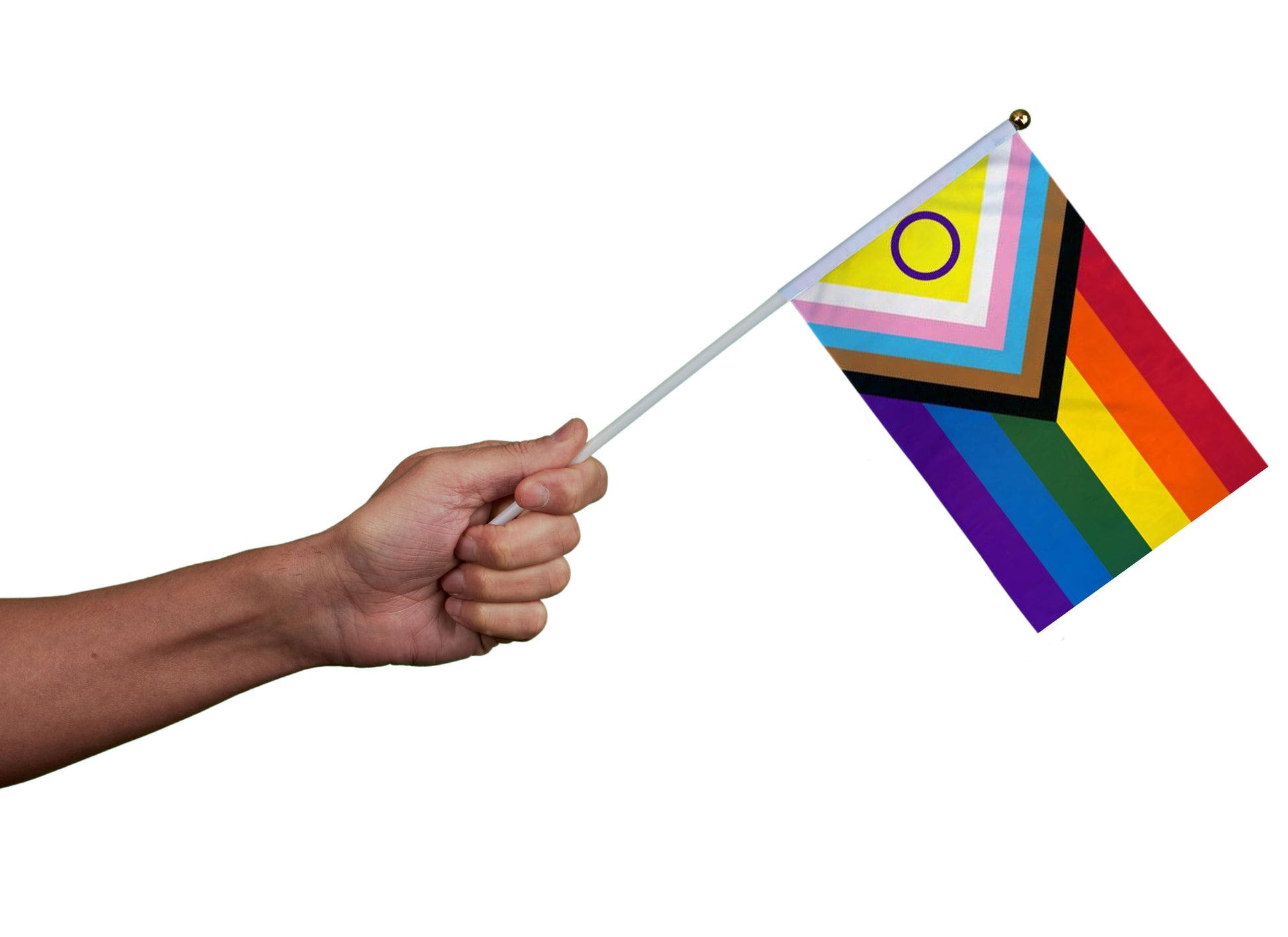 Daniel Quasar Inclusive Progress Pride Flags on a Stick, Gay Pride Parade Flags