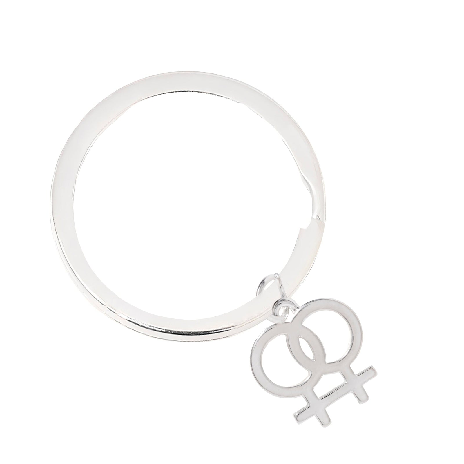 Lesbian Same Sex Female Symbol Charm Key Chain, LGBTQ Gay Pride Awarenesss, LGBTQ Gay Pride Awareness