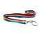 Pansexual Pride Lanyards