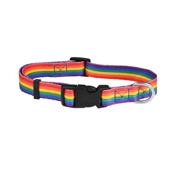 Extra-Large Rainbow Flag Striped Dog Collars